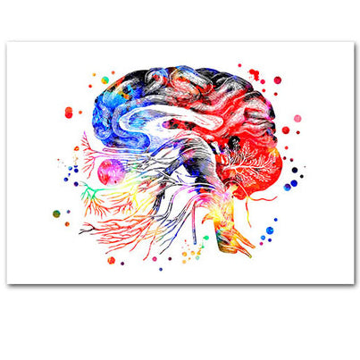 Anatomy Art Print - Brain