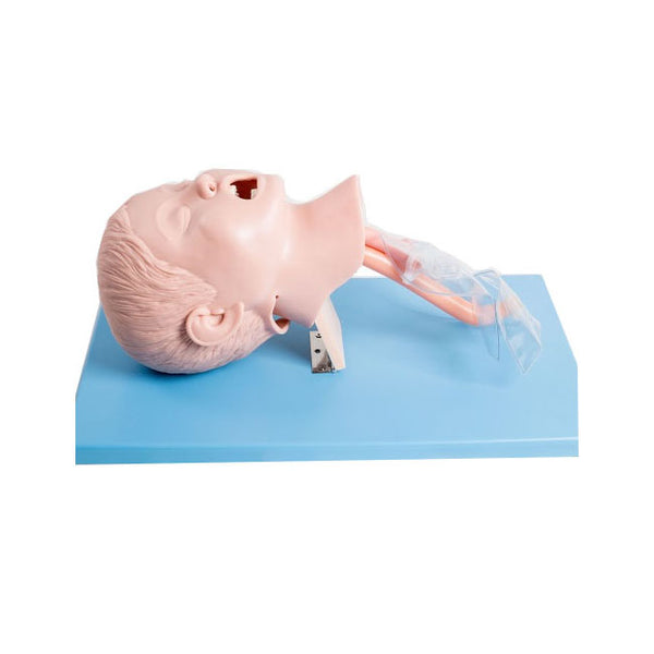 Child Airway Management Trainer with Stand - Dr Wong Anatomy