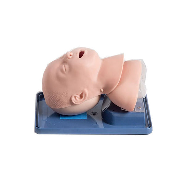 Infant Airway Management Trainer - Dr Wong Anatomy