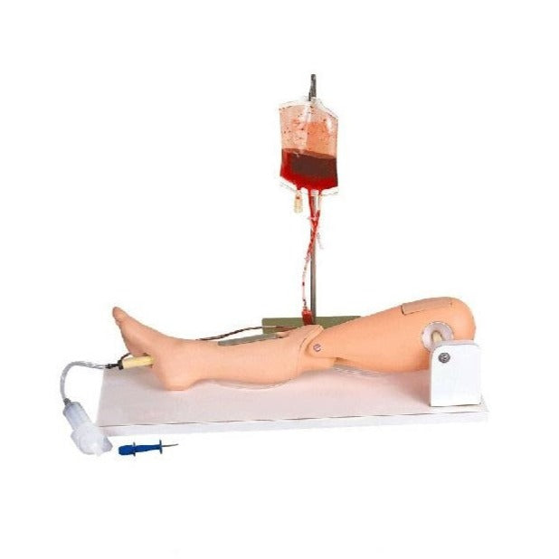 Adult Intraosseous Infusion Simulator - Dr Wong Anatomy