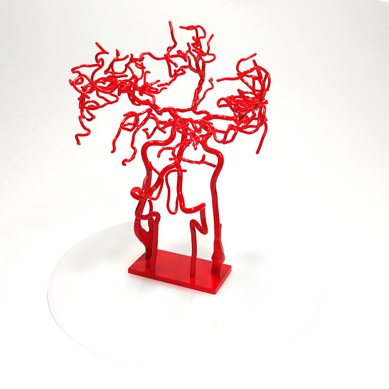 Brain Vasculature Model