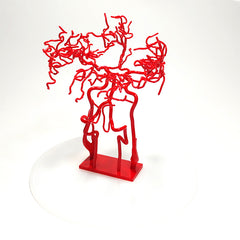 Brain Vasculature Model
