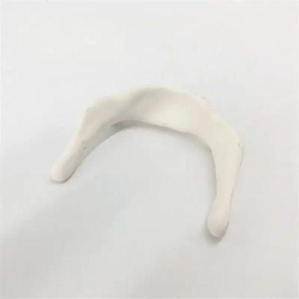 Hyoid Bone Model