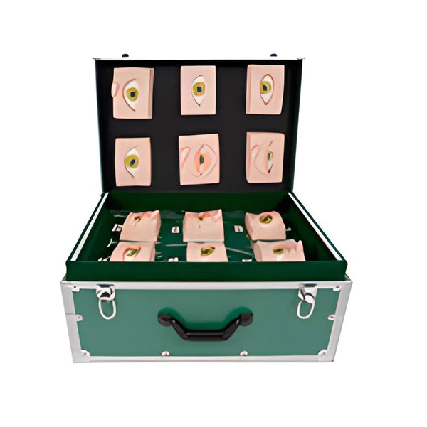 Eye Disease Model Set