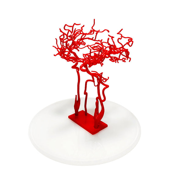 Brain Vasculature Model