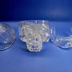 Transparent Skull Model, 3 Parts
