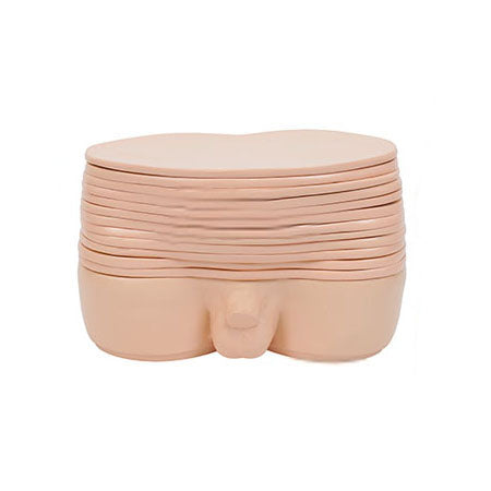 Anatomical Section of Male Pelvic Model