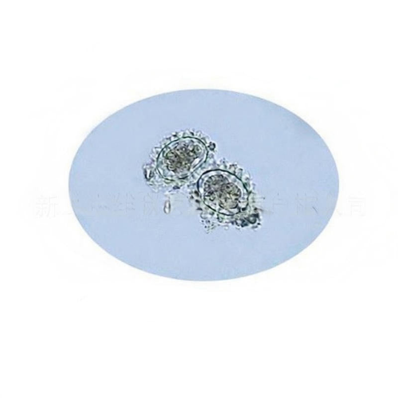 Roundworm (Ascaris) Egg, Prepared Microscope Slide