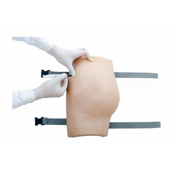 Mate Injection Model (Buttock-wearing Type)