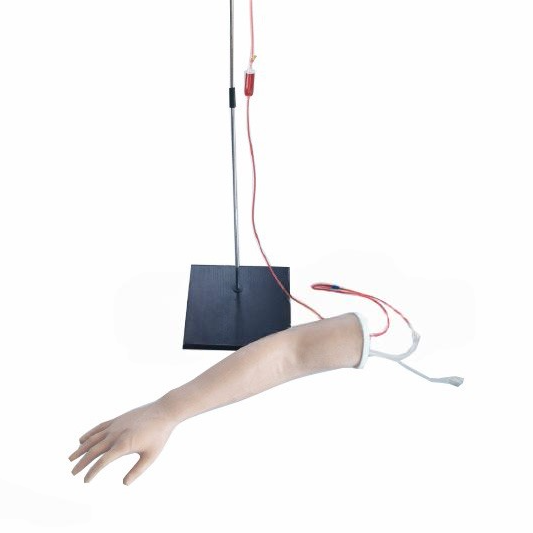 IV Practice Arm with Fluid Bag Stand