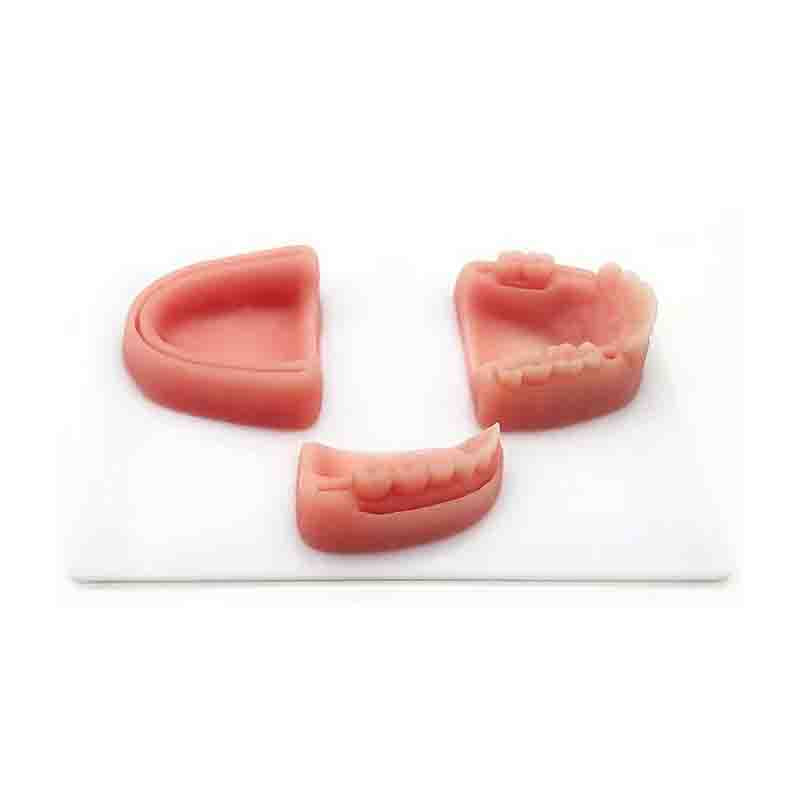 Dental Suture Model