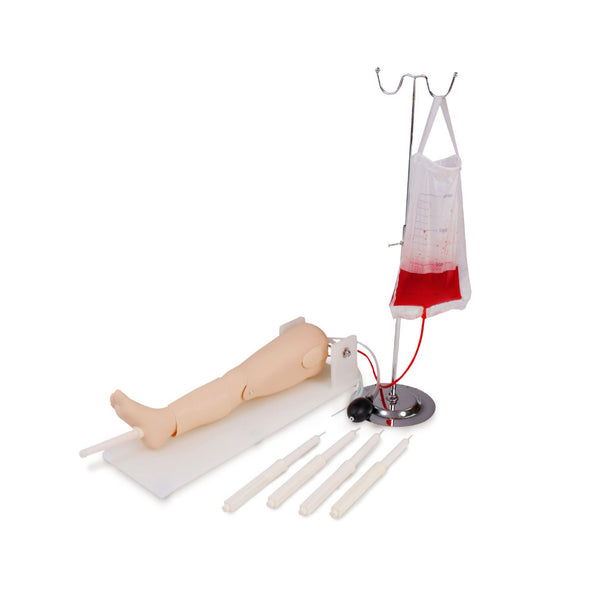 Pediatric Bone Marrow Aspiration and Femoral Vein Puncture Model