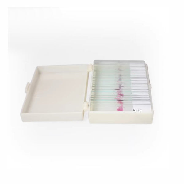 Plants, Prepared Microscope Slide Set, 25 Slides