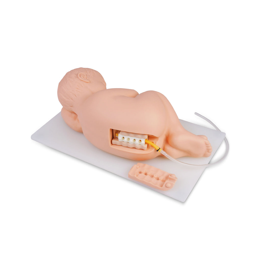Infant Lumbar Puncture Training Model