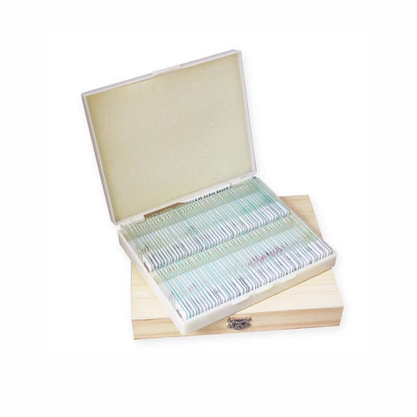 Human Pathology, Prepared Microscope Slide Set, 100 Slides