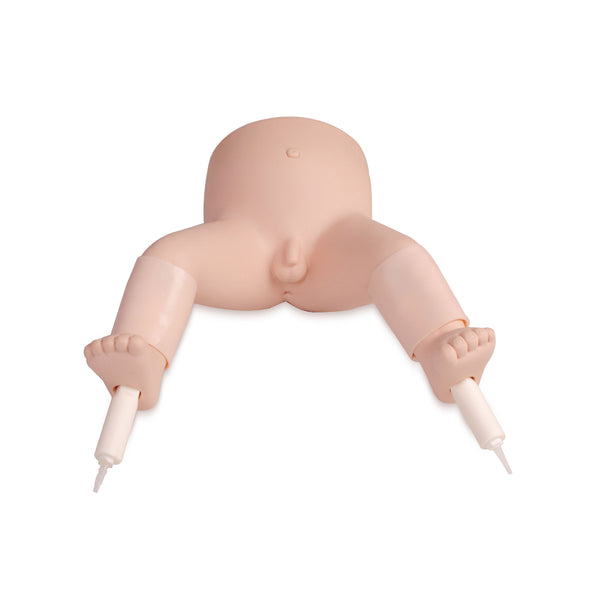 Infant Bone Marrow Aspiration Training Model