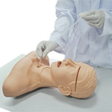 Suction training model – Dr Wong Anatomy