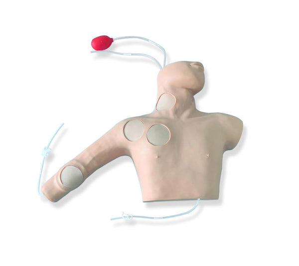 Advanced PICC and Central Venous Catheter Training Model