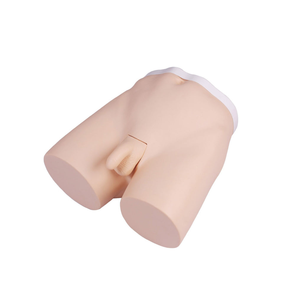 Vasectomy Training Model