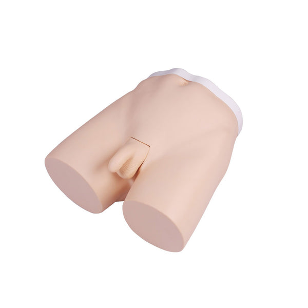 Vasectomy Training Model