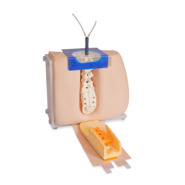 Spinal Injection Simulator