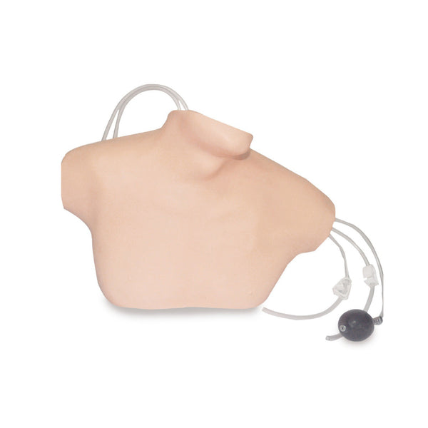 Central Venous Cannulation Simulator