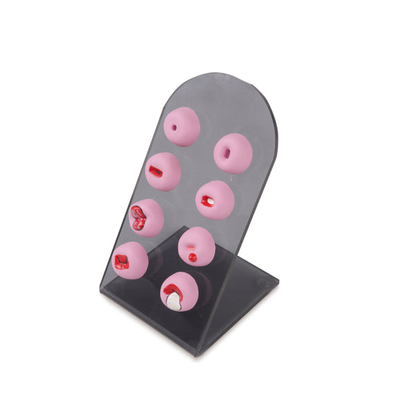 Cervical Pathology Demonstration Model