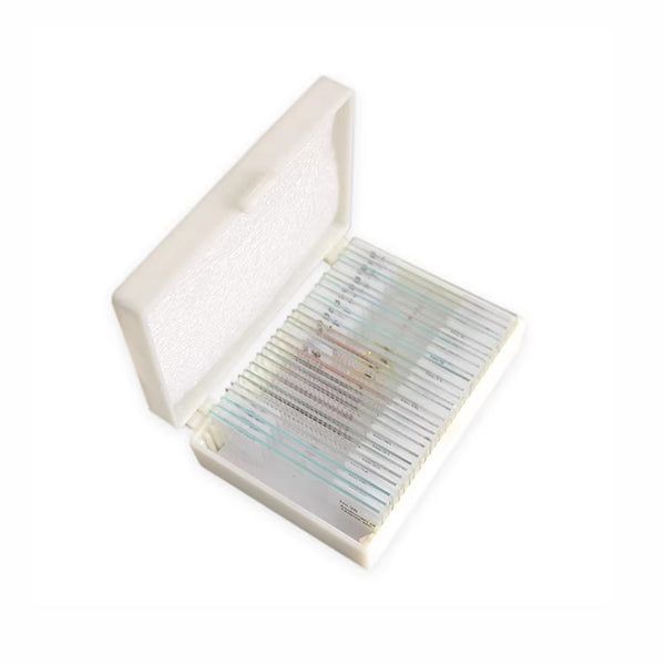 Animals and Plants, Prepared Microscope Slide Set, 30 Slides