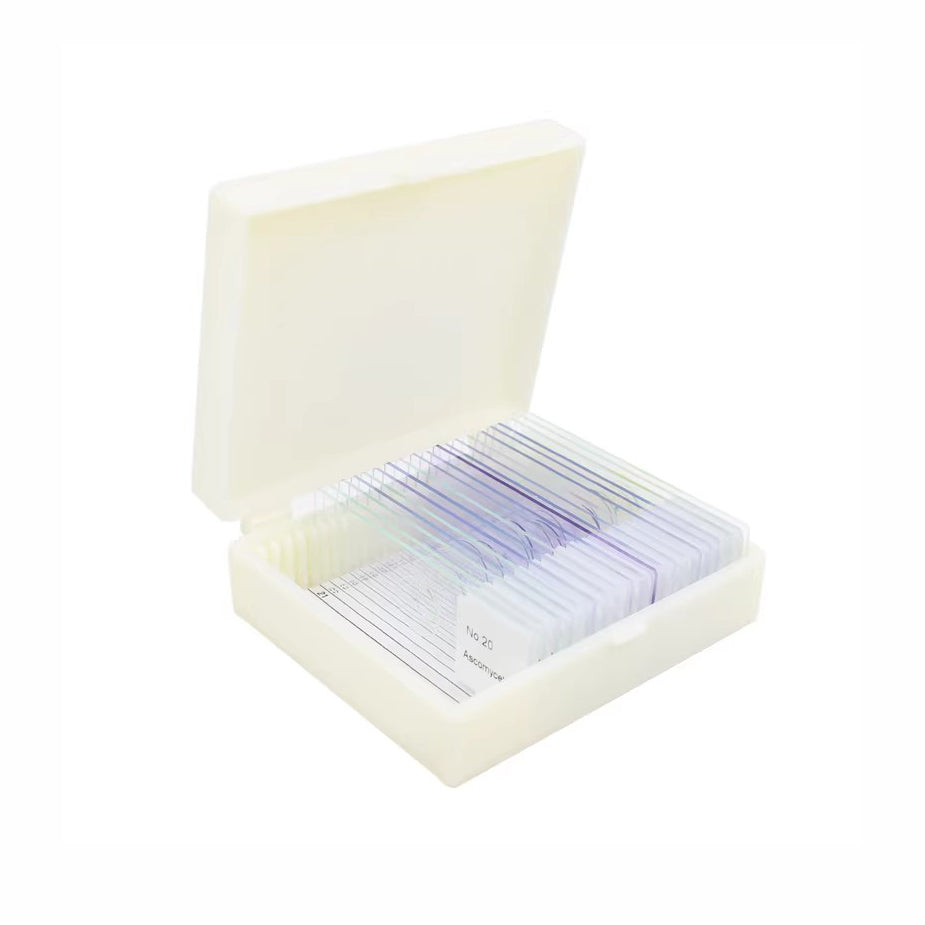Animals, Prepared Microscope Slide Set, 25 Slides