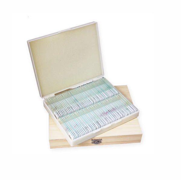 Plants, Prepared Microscope Slide Set, 100 Slides