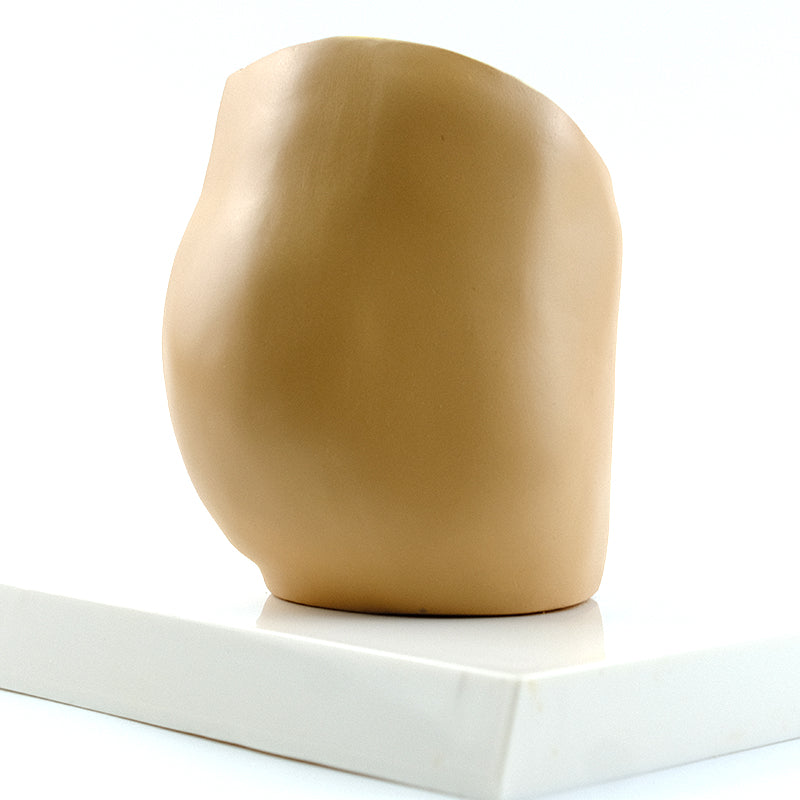 Indirect Inguinal Hernia Model