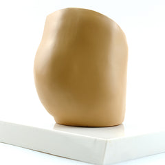 Indirect Inguinal Hernia Model