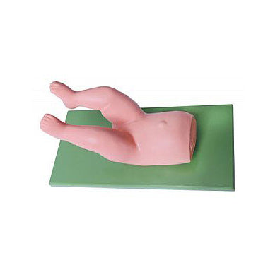 Infant Hip Reduction Training Model