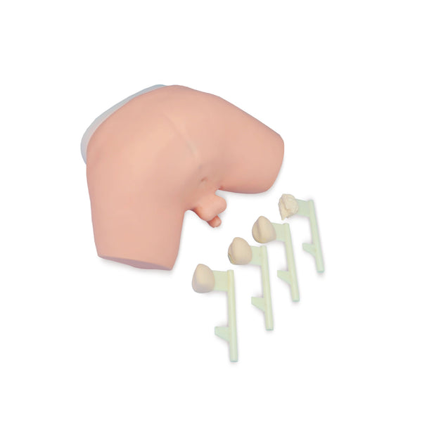 Prostate Examination Training Model