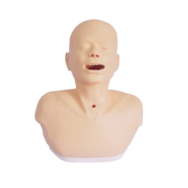 Tracheotomy Care Simulator