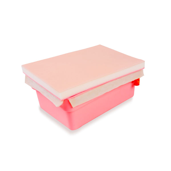 Abdominal Open-Close Training Model