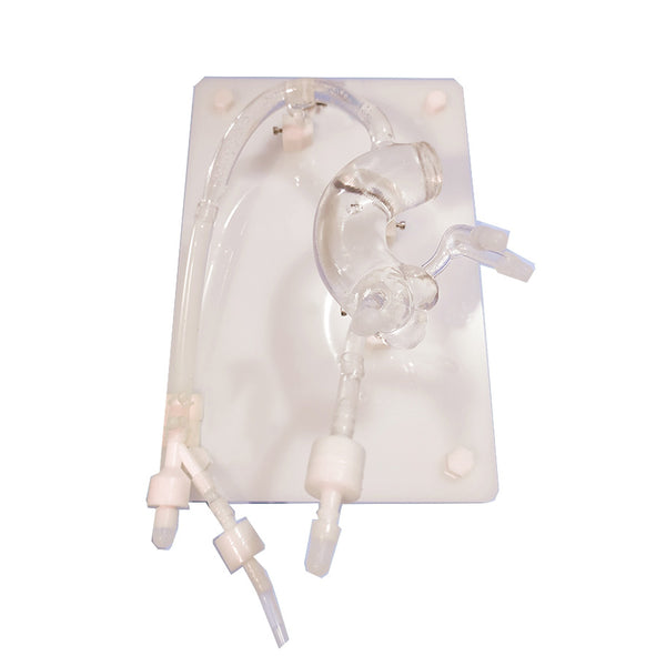 Coronary Angiography Training Model