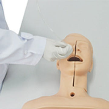 Suction training model – Dr Wong Anatomy