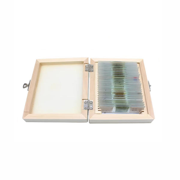 Rocks and Minerals, Ground Thin, Prepared Microscope Slide Set, 100 Slides