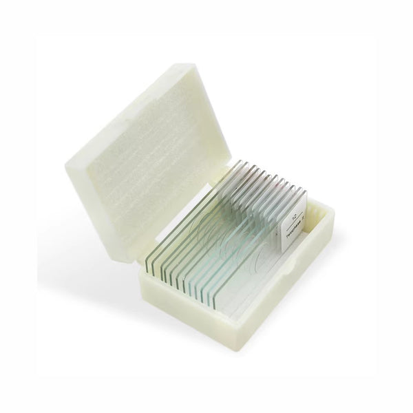 Parasites, Prepared Microscope Slide Set, 10 Slides