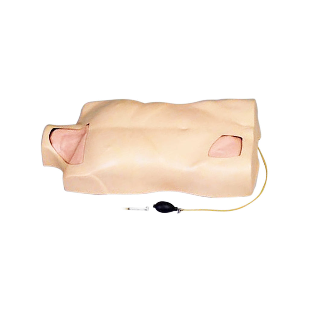 IV Torso