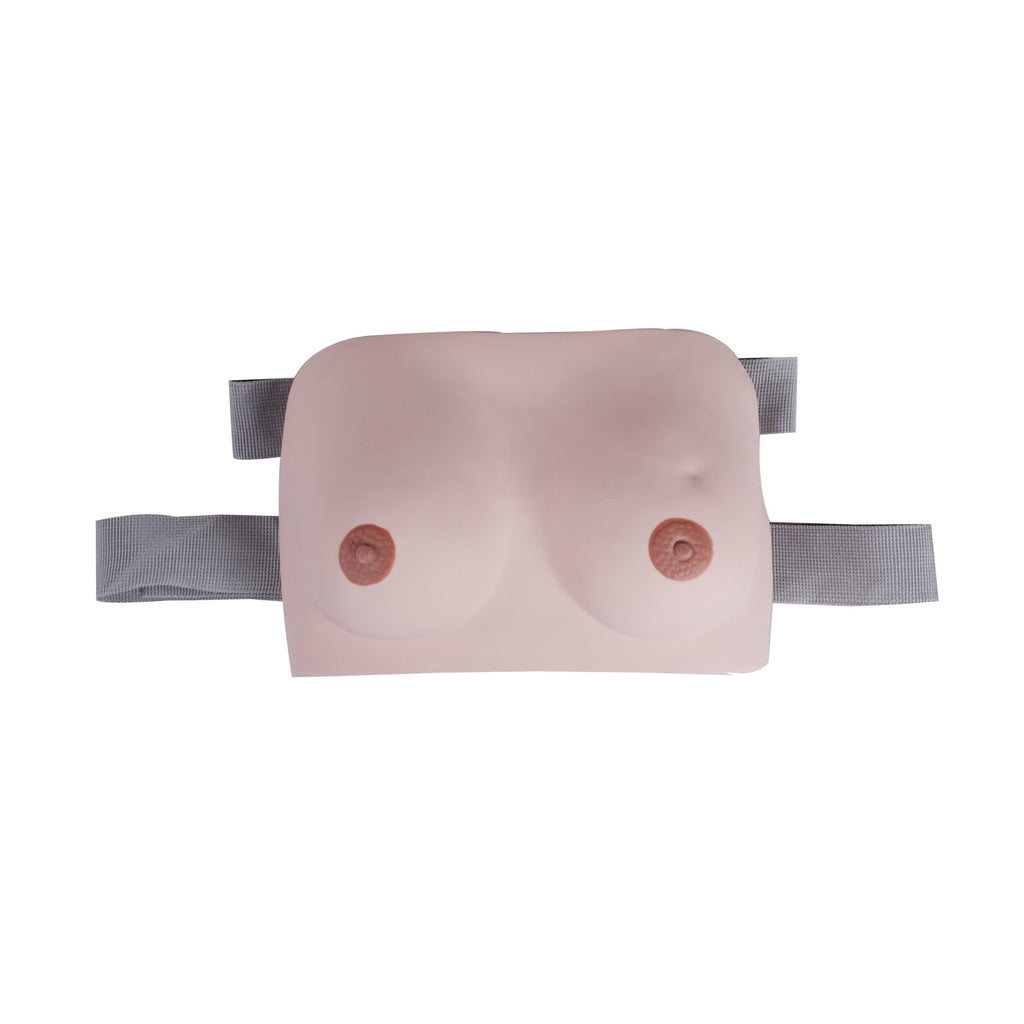 Breast Examination Model