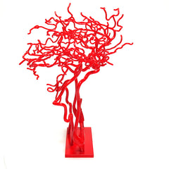 Brain Vasculature Model