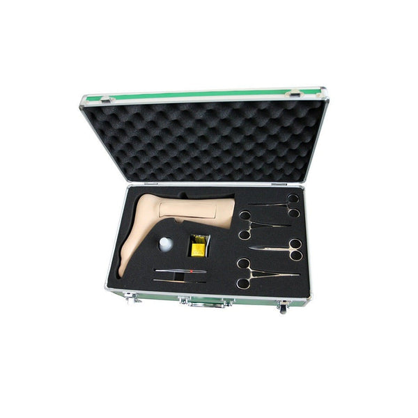 Great Saphenous Vein Catheterization Trainer - Dr Wong Anatomy