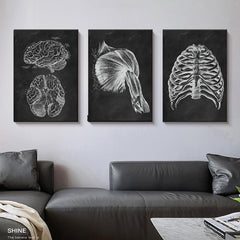Brain Anatomy Print - Dr Wong Anatomy Chart