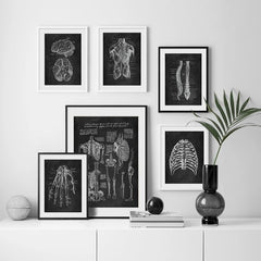 Brain Anatomy Print - Dr Wong Anatomy Chart