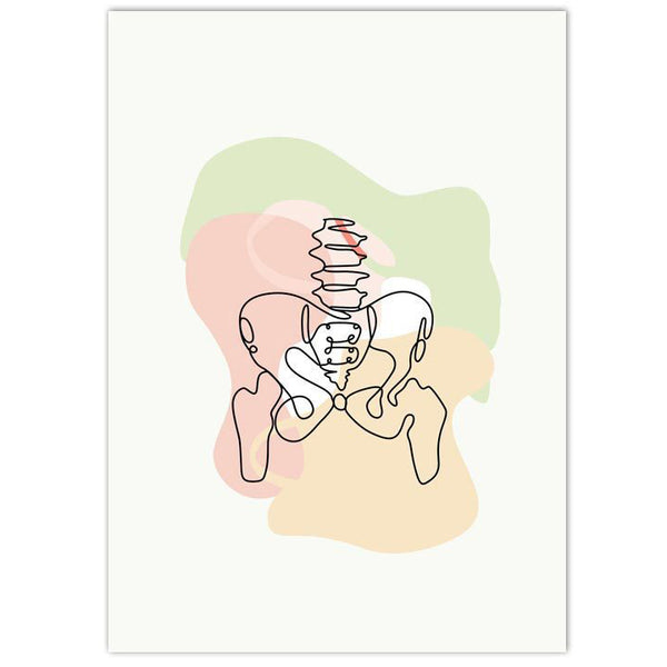 Anatomy Art Print - Pelvis