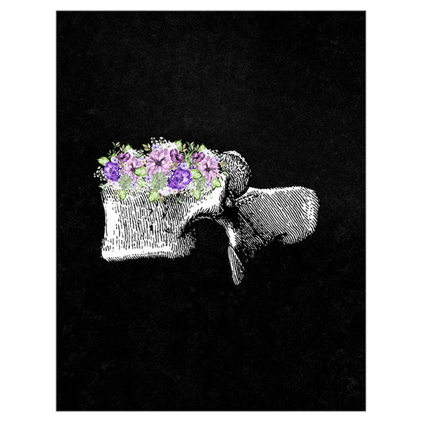 Anatomy Art Print - Lumbar Vertebrae