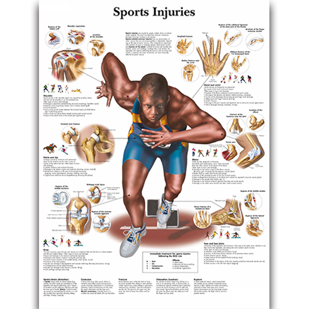 6 Sports Injuries Health Education Chart - Sports Injuries