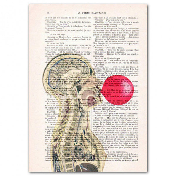 Anatomy Art Print - Torso